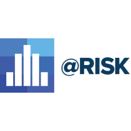 Palisade @RISK Pro Desktop Subscription 